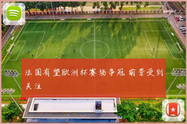 法国有望欧洲杯赛场争冠 前景受到关注