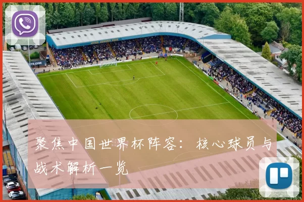 聚焦中国世界杯阵容：核心球员与战术解析一览