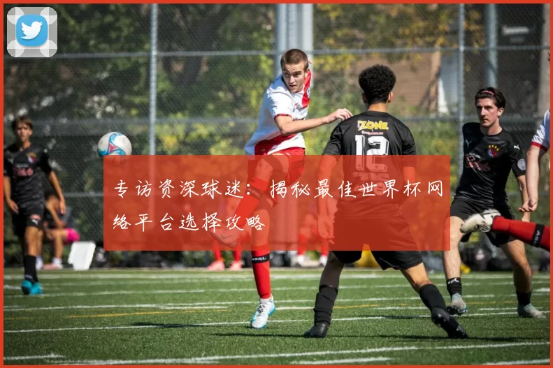 专访资深球迷:揭秘最佳世界杯网络平台选择攻略
