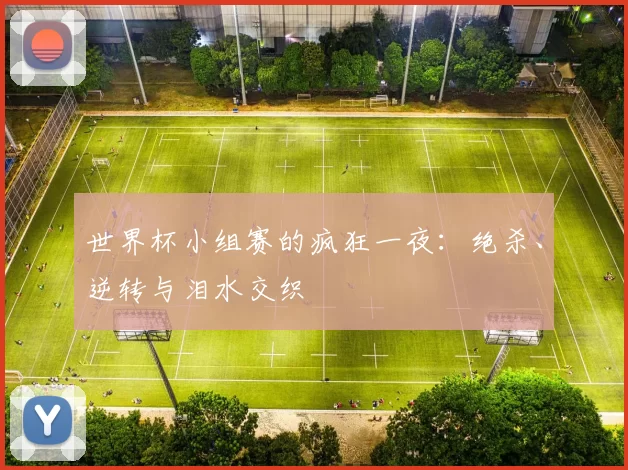 世界杯小组赛的疯狂一夜:绝杀、逆转与泪水交织