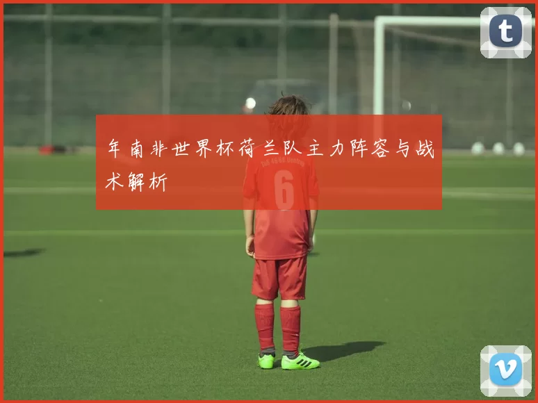 年南非世界杯荷兰队主力阵容与战术解析