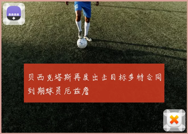 贝西克塔斯再度出击目标多特合同到期球员厄兹詹