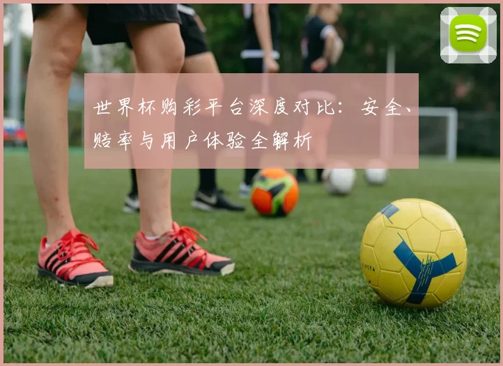 世界杯购彩平台深度对比:安全、赔率与用户体验全解析