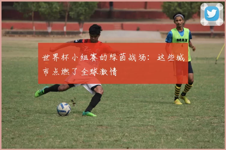 世界杯小组赛的绿茵战场:这些城市点燃了全球激情