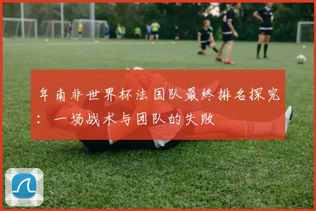 年南非世界杯法国队最终排名探究:一场战术与团队的失败