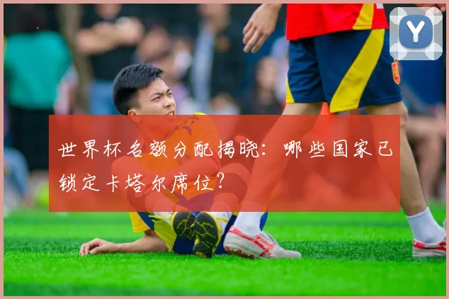 世界杯名额分配揭晓:哪些国家已锁定卡塔尔席位?