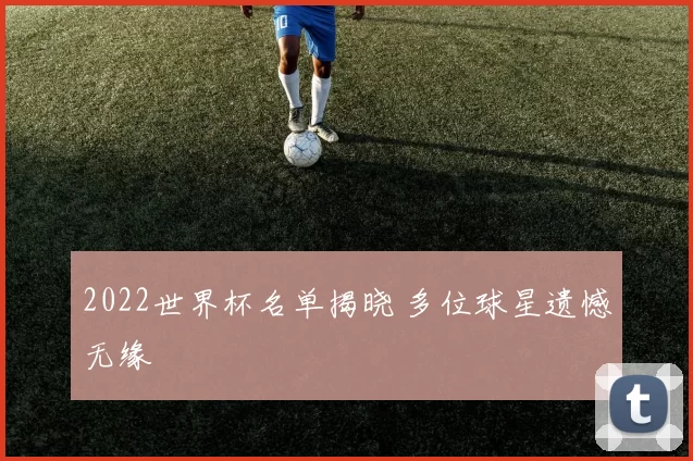 2022世界杯名单揭晓 多位球星遗憾无缘