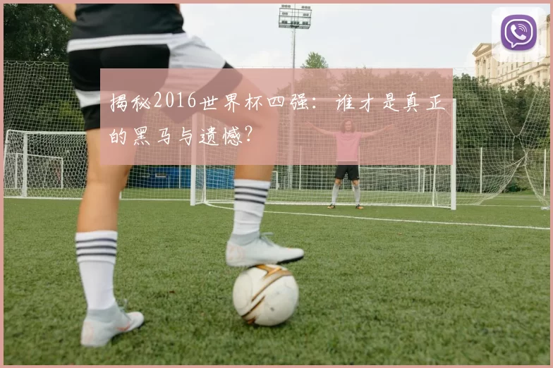 揭秘2016世界杯四强:谁才是真正的黑马与遗憾?