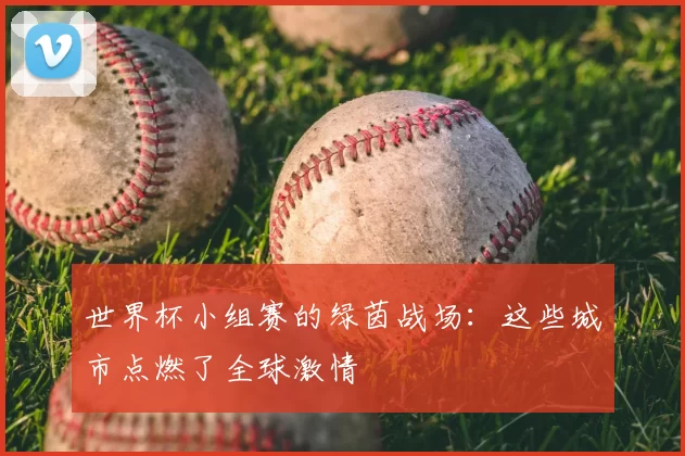 世界杯小组赛的绿茵战场：这些城市点燃了全球激情